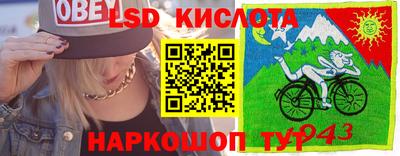 сатива Абинск