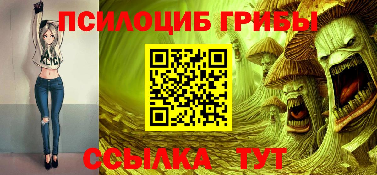 Алейск  закладка  Вход с VPN  Галлюциногенные грибы мицелий 